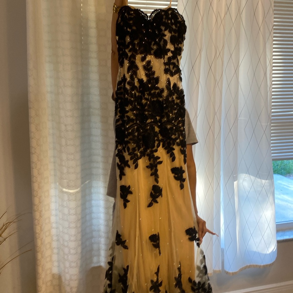 Beautiful black and cream gown with long train